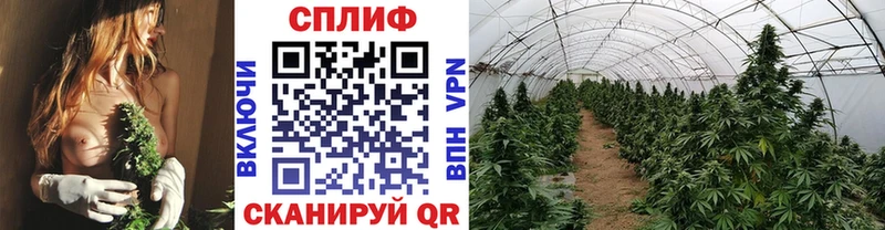 Магазины продажи наркотиков Белгород Кокаин  МЕФ  ГАШ 